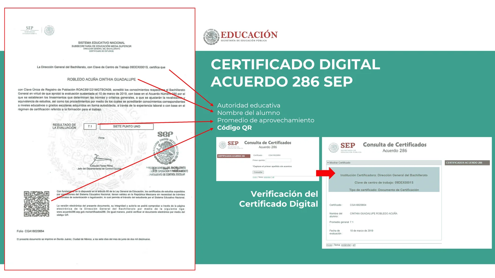 Verificación
